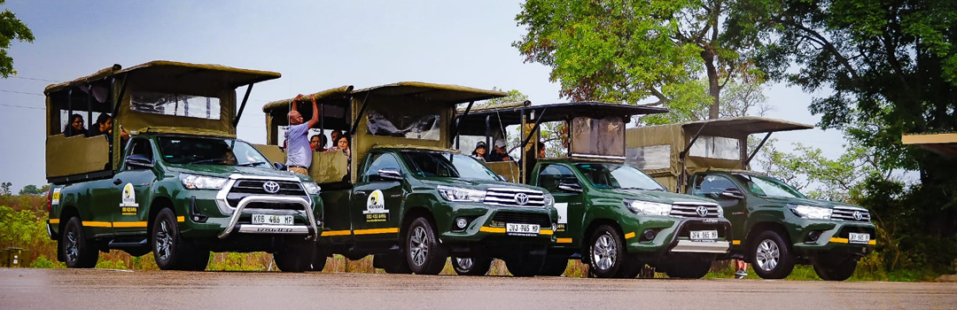 Full Day Private Kruger National Park Game Drive 