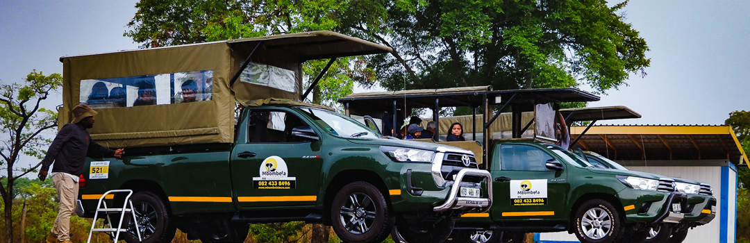 Private Kruger National Park Game Drive is suitable for private groups, conference groups, photographic safari, families or just friends travelling together